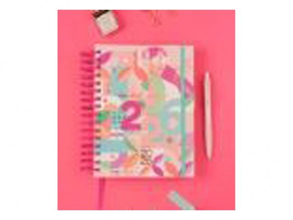 AGENDA 2026 FINANCIERA 400hjs+REGLA+STIC - IBICO