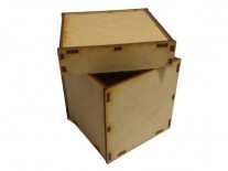 CAJA ZAPATO 10x10x7 LISA