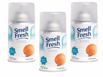 AEROSOL SMELL FRESH BRISA MARINA